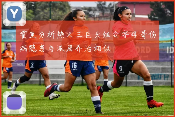 霍里分析热火三巨头组合字母哥伤病隐患与浓眉乔治相似
