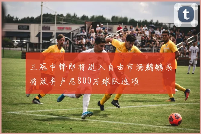 三冠中锋即将进入自由市场鹈鹕或将放弃卢尼800万球队选项